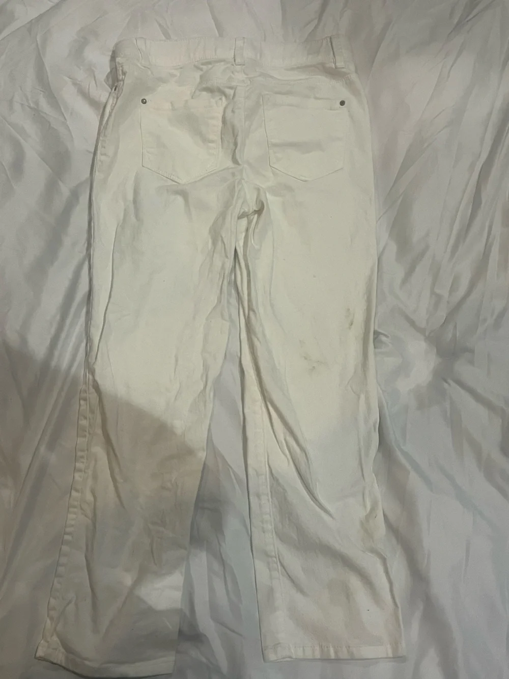 Cream/Off-White Pants
